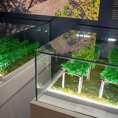 Viticultura - mini