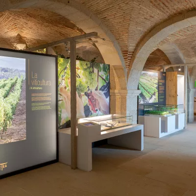 La viticultura