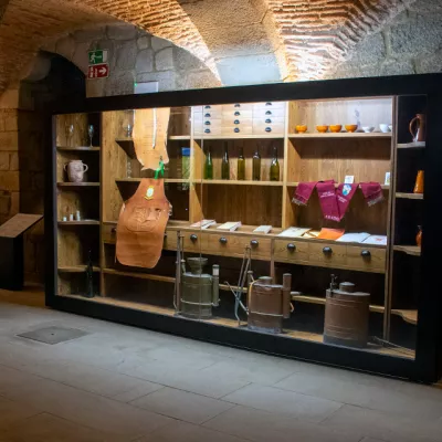 Vino Salvaterra - mini
